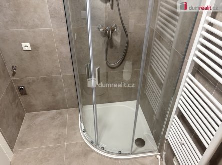 Pronájem bytu, 1+kk, 49 m²