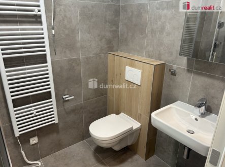 Pronájem bytu, 1+kk, 49 m²