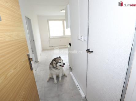 Pronájem bytu, 1+1, 36 m²