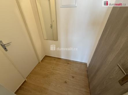 Pronájem bytu, 1+kk, 48 m²