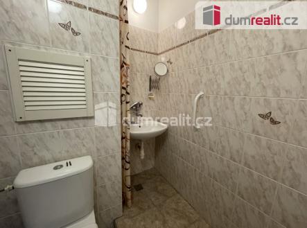 Pronájem bytu, 1+kk, 23 m²