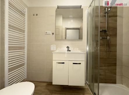 Pronájem bytu, 1+kk, 30 m²