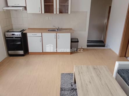 Pronájem bytu, 1+1, 44 m²