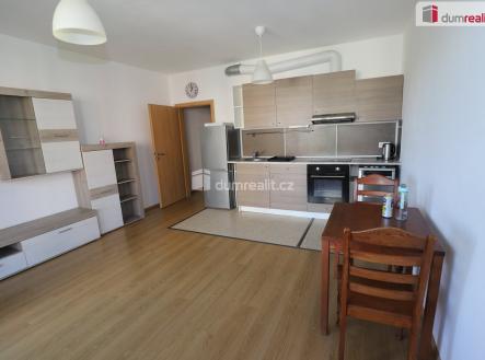 Pronájem bytu, 1+kk, 42 m²