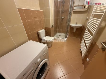 Pronájem bytu, 1+kk, 43 m²