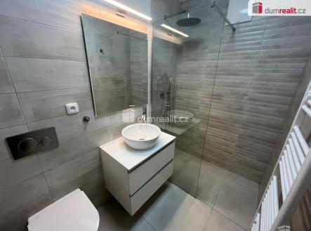 Pronájem bytu, 2+kk, 53 m²