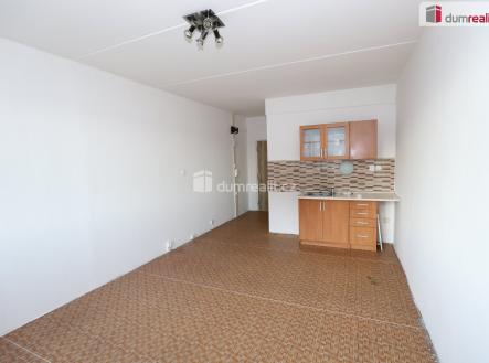 Pronájem bytu, 1+kk, 25 m²