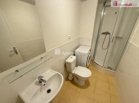 Pronájem bytu, 1+kk, 48 m²