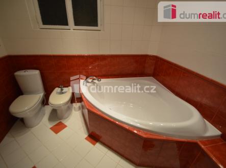 Pronájem bytu, 4+1, 15 m²