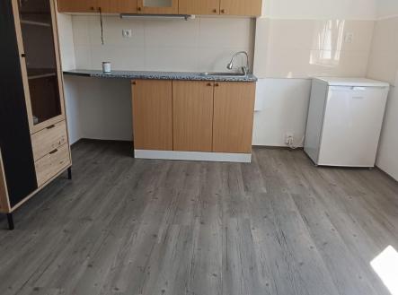 Pronájem bytu, 1+kk, 18 m²