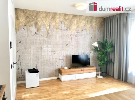Pronájem bytu, 1+kk, 31 m²