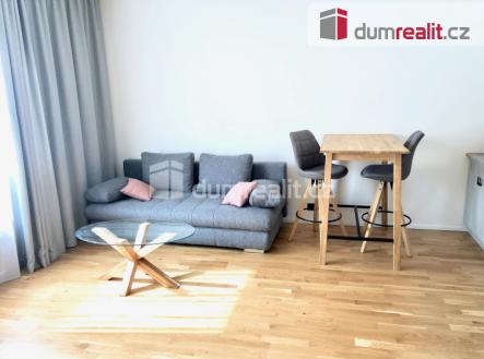 Pronájem bytu, 1+kk, 31 m²