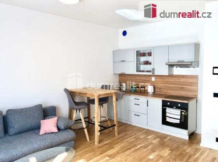 Pronájem bytu, 1+kk, 31 m²