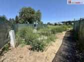 Prodej pozemku, zahrada, 184 m²
