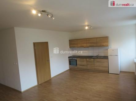 Pronájem bytu, 1+kk, 47 m²