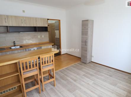 Prodej bytu, 1+kk, 21 m²