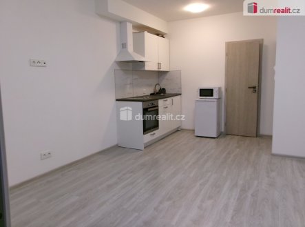 Pronájem bytu, 1+kk, 32 m²