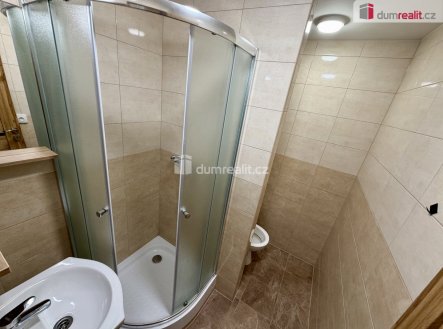 Pronájem bytu, 1+1, 36 m²