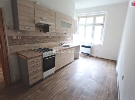 Pronájem bytu, 1+1, 49 m²