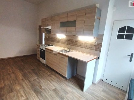 Pronájem bytu, 1+1, 49 m²