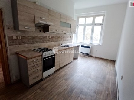 Pronájem bytu, 1+1, 49 m²