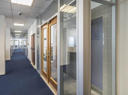 Pronájem kanceláře, 300 m²