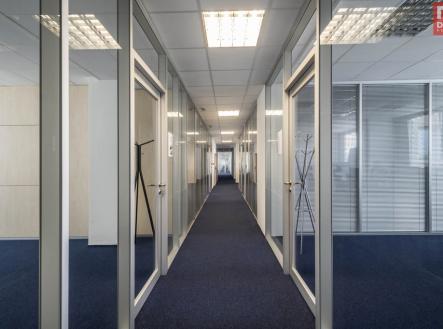 Pronájem kanceláře, 300 m²