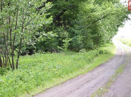 Prodej pozemku, ostatní, 4 584 m²