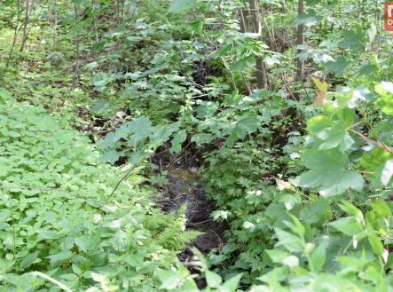 Prodej pozemku, ostatní, 4 584 m²