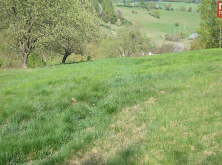 Prodej pozemku pro bydlení, 11 569 m²