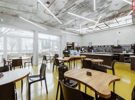 Pronájem bytu, 1+kk, 21 m²