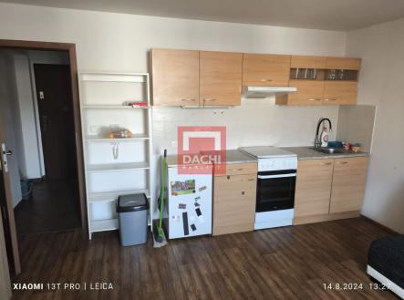 Pronájem bytu, 1+kk, 30 m²