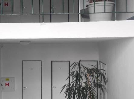 Pronájem kanceláře, 40 m²