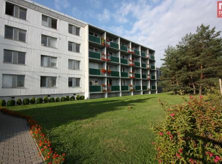 Pronájem kanceláře, 40 m²