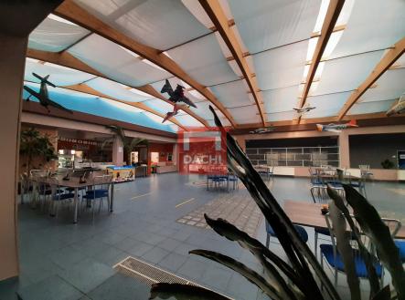 Pronájem - kanceláře, 202 m²