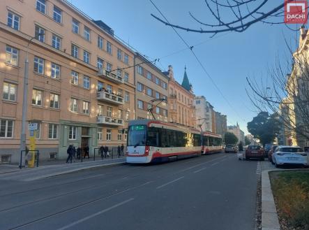 Pronájem bytu, jiný, 50 m²