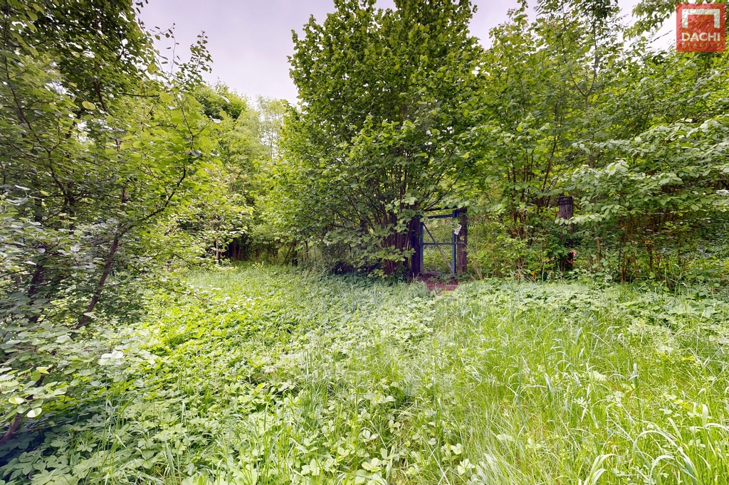7-cekynska-11242025-203234.jpg