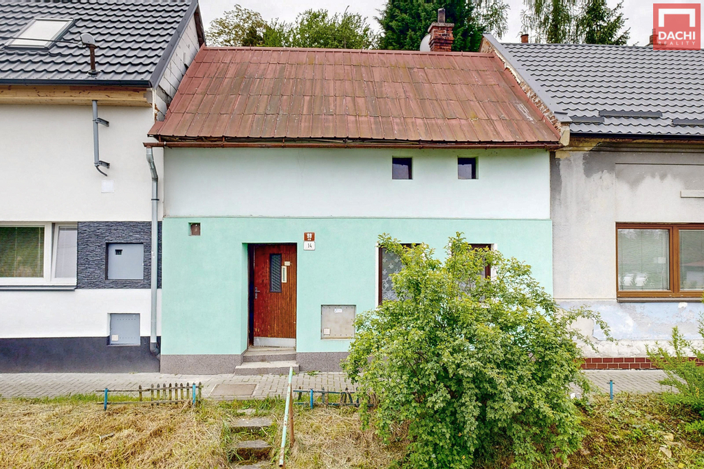 7-cekynska-11242025-202514.jpg