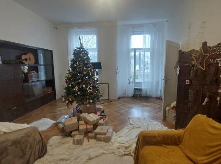 Pronájem bytu, 4+1, 333 m² obrázek