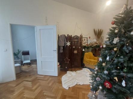 Pronájem bytu, 4+1, 333 m²