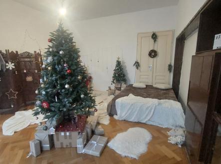 Pronájem bytu, 4+1, 333 m²