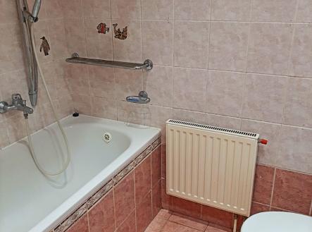 Pronájem bytu, 1+1, 40 m²