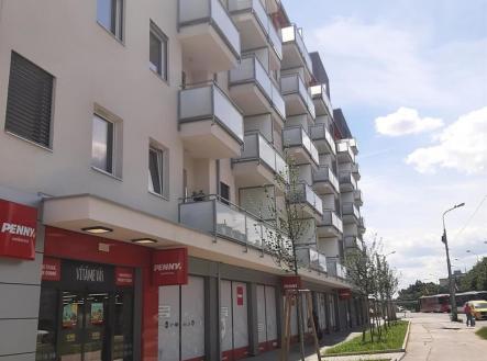 Pronájem