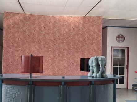 Pronájem kanceláře, 299 m²