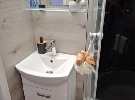 Pronájem bytu, 2+1, 53 m²