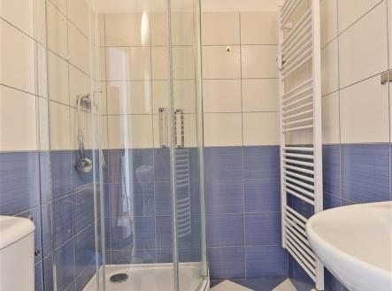 Pronájem bytu, 1+kk, 19 m²