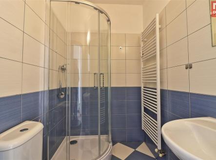 Pronájem bytu, 1+kk, 19 m²