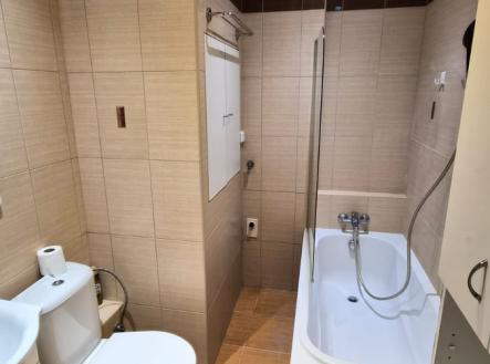 Pronájem bytu, 2+1, 47 m²