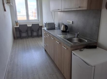 Pronájem bytu, 2+1, 464 m²