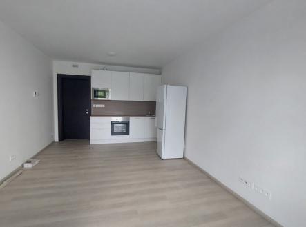 Pronájem bytu, 1+kk, 38 m²